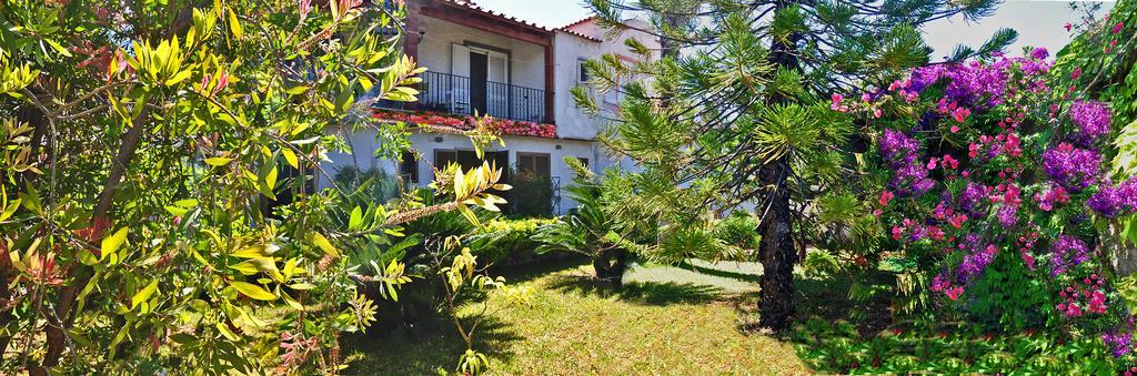 Casa Cigliano Hotel Forio di Ischia Eksteriør billede